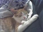 billy